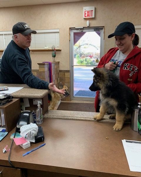 Socializing Dakota take 1 - not a fan of the clinic